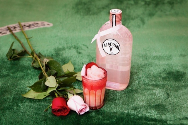 Alacran Tequila Pink Limited Edition + Tasty Cocktail Recipe